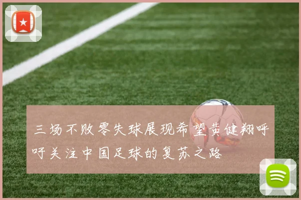 三场不败零失球展现希望黄健翔呼吁关注中国足球的复苏之路