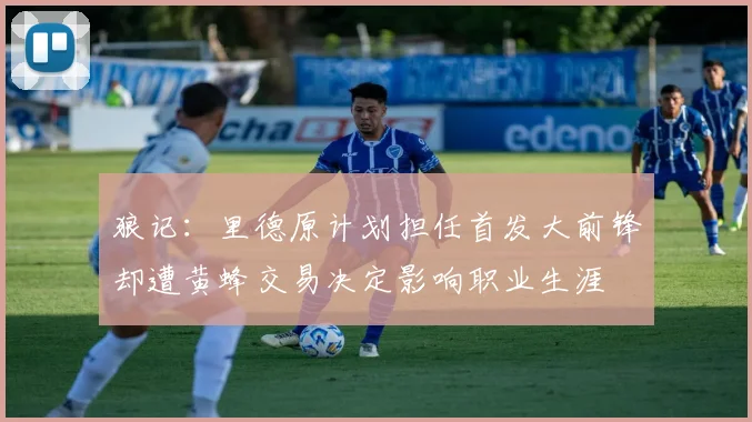 狼记：里德原计划担任首发大前锋却遭黄蜂交易决定影响职业生涯