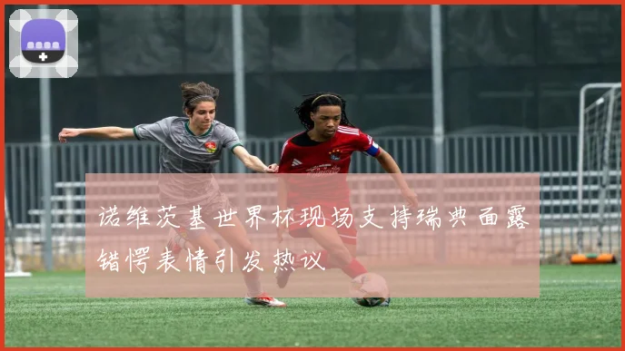 诺维茨基世界杯现场支持瑞典面露错愕表情引发热议