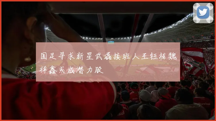 国足寻求新星武磊接班人王钰栋魏祥鑫或成潜力股