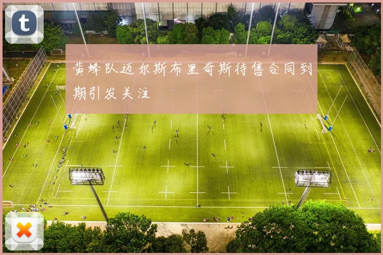 黄蜂队迈尔斯布里奇斯待售合同到期引发关注